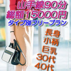 山手線90分15000円タイプ別フリー
