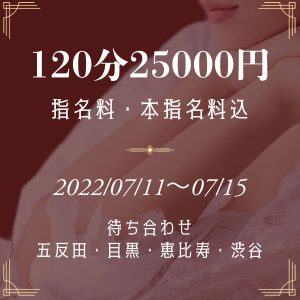割引4000円 120分コース25000円