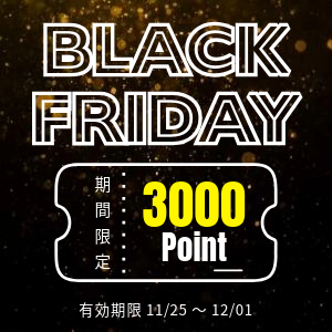 ブラックフライデー2024 五反田の人妻デリヘル