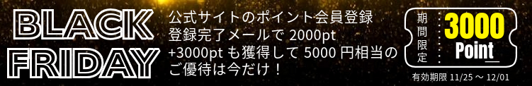 ブラックフライデー 2024 五反田の人妻デリヘル