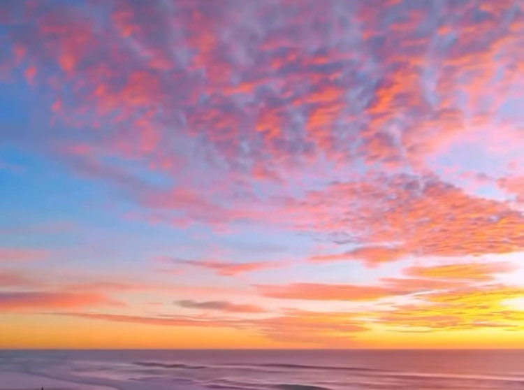 IMG_6889.jpeg人妻熟女の写メ日記画像